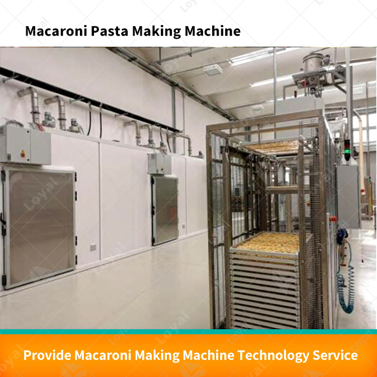 Máquina de Produção de Macarrão Linha de Produção de Pasta Fábrica de Fabricação de Macarrão