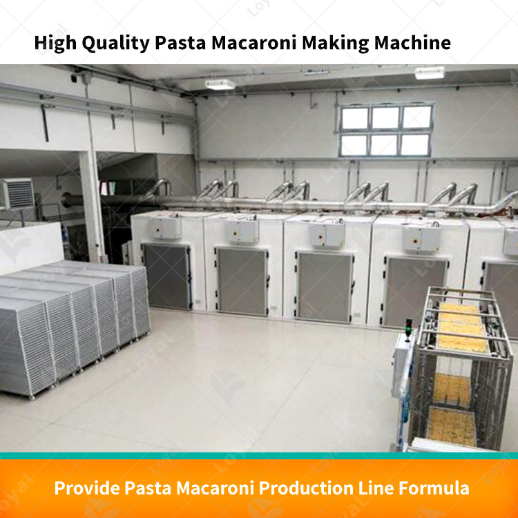 Máquina de Produção de Macarrão Linha de Produção de Pasta Fábrica de Fabricação de Macarrão