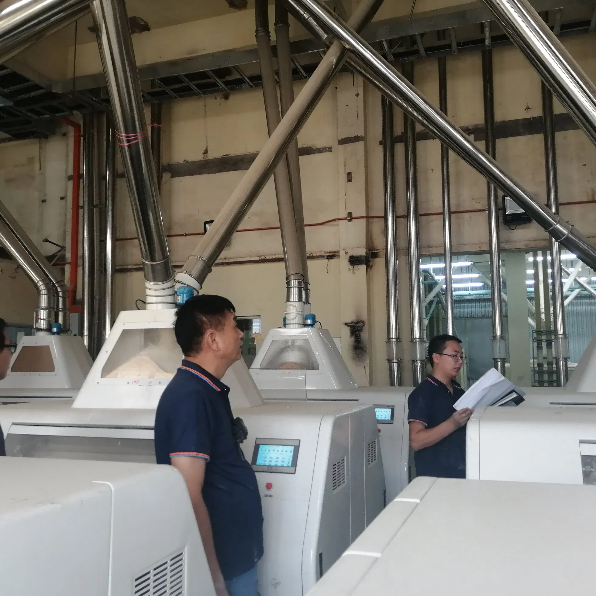 300ton Por 24hours Planta de Moagem de Farinha de Trigo