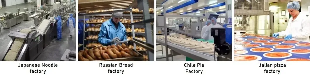 Processo de Massa de Pizza e Pão