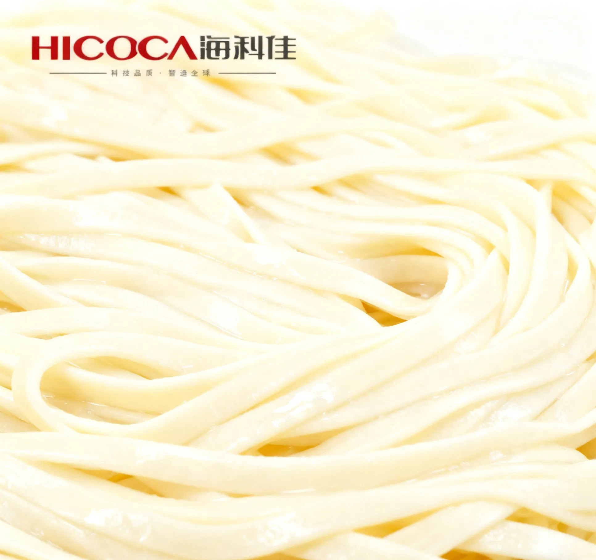 Linha de Produção de Macarrão Fresco Inteligente com Controle Automatizado e Saída Estável