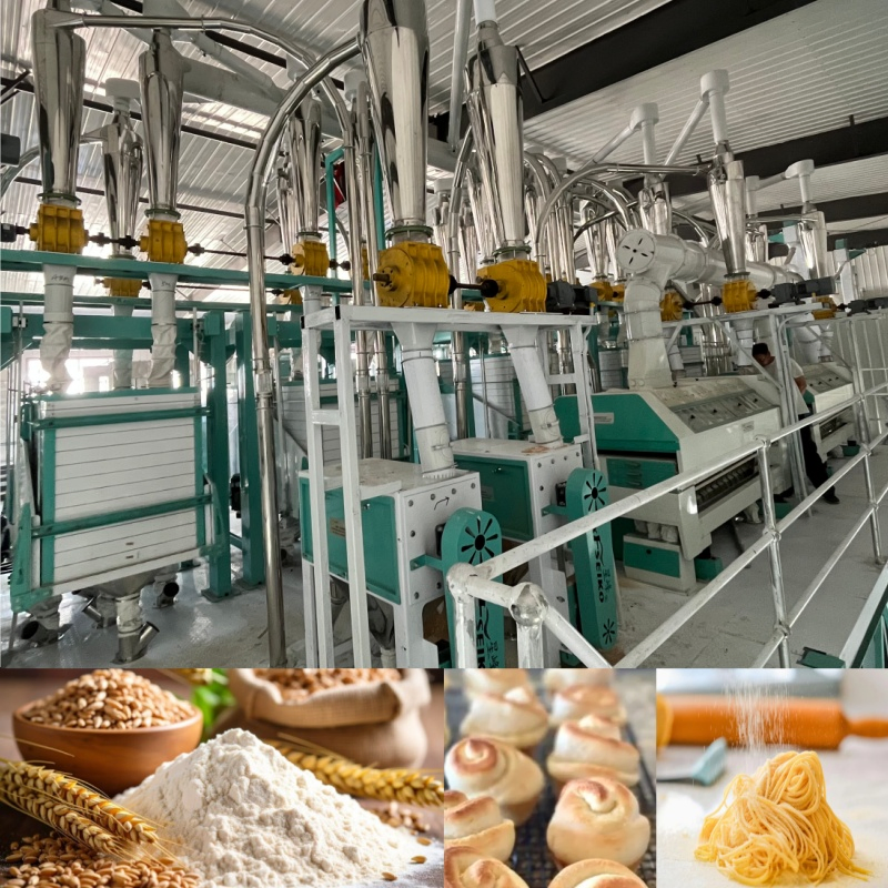 30-60tpd Planta de Moinho de Farinha de Trigo Capacidade Flexível Máquina de Moagem de Grãos