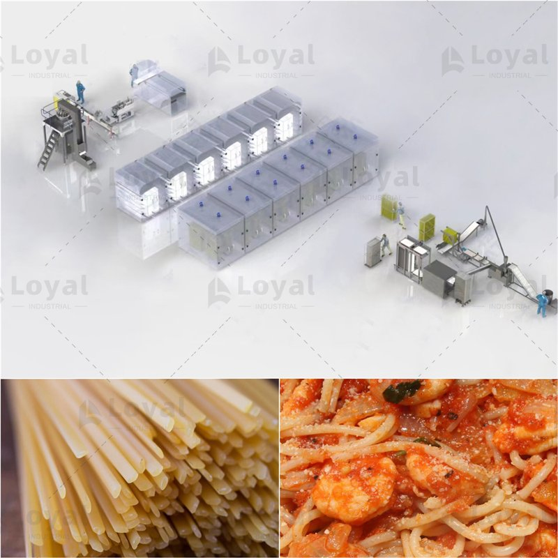 1000 Linha de Produção de Macarrão Longo em Kg/Hora com Embalagem Equipamento de Processamento de Macarrão Seco