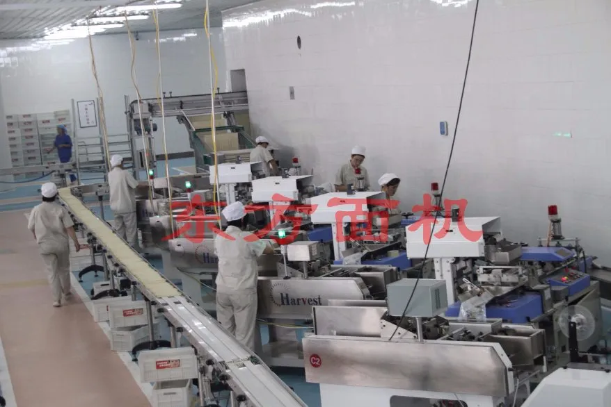 Tipo 1000 Linha de Produção de Macarrão Seco Fino Máquina de Fazer Macarrão em Bastão Seco Linha de Produção de Macarrão Longo Fino Seco