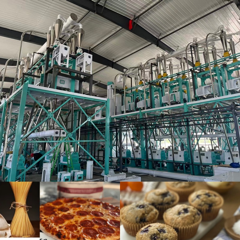30-60tpd Planta de Moinho de Farinha de Trigo Capacidade Flexível Máquina de Moagem de Grãos