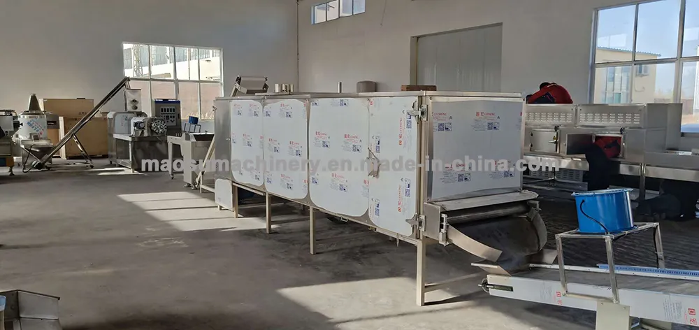 Linha de Produção para Processamento de Macarrão Curto Frito Seco