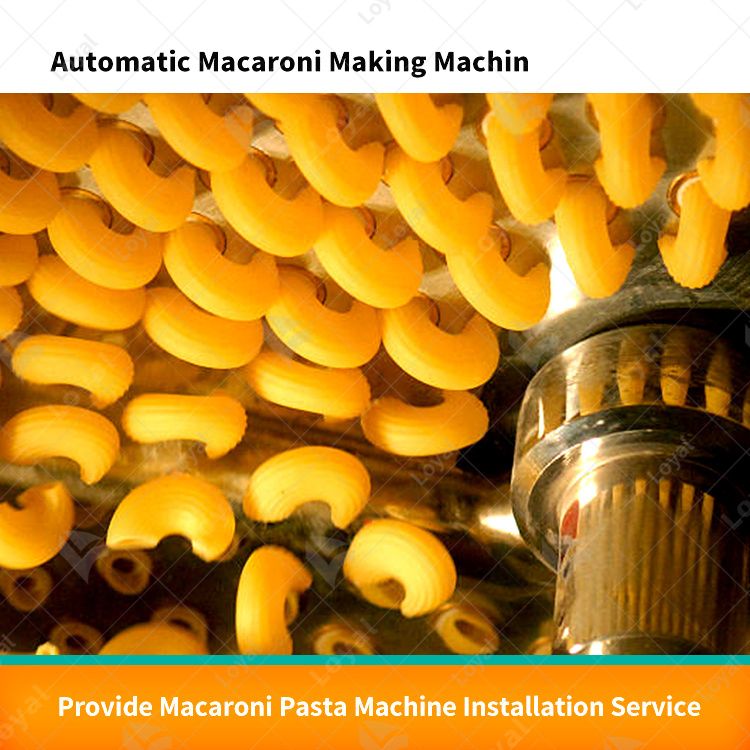 Máquina de Produção de Macarrão Linha de Produção de Pasta Fábrica de Fabricação de Macarrão