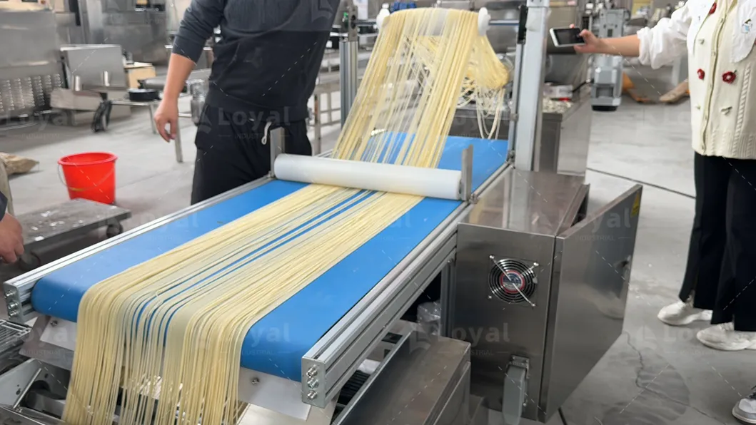 Linha de Produção de Macarrão Espaguete Turnkey Completa Automática Equipamento de Fabricação de Macarrão