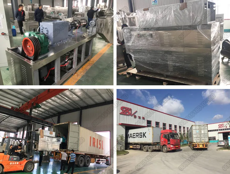 Embalagem e entrega de máquina de macarrão