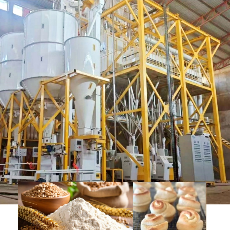 30-60tpd Planta de Moinho de Farinha de Trigo Capacidade Flexível Máquina de Moagem de Grãos