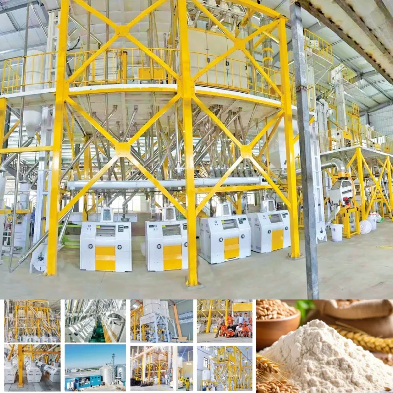 Detalhe do Moinho de Trigo 1