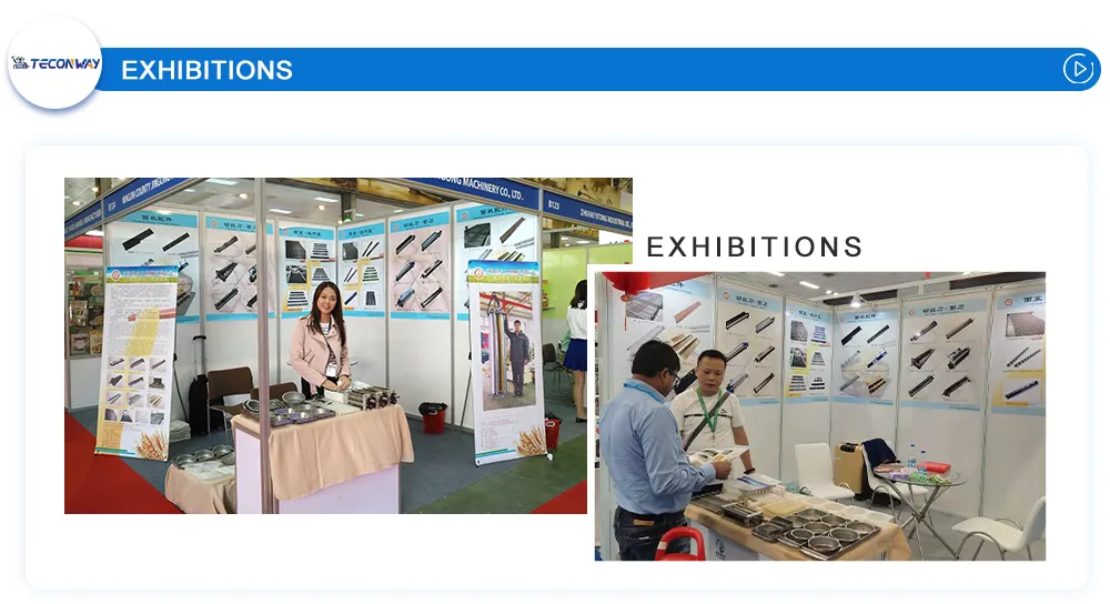 Exposições do Setor