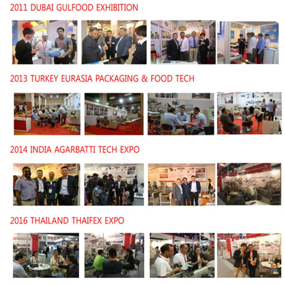 Participação em Exposições Internacionais