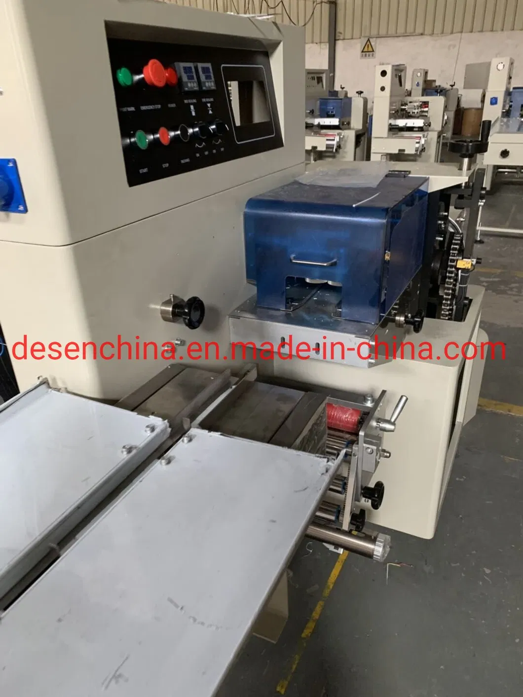 Detalhe Máquina de Embalagem 1