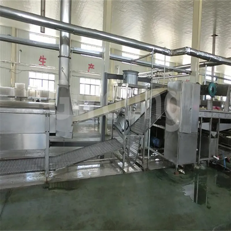 Máquina de Produção de Macarrão Não Frito Automaticamente 1