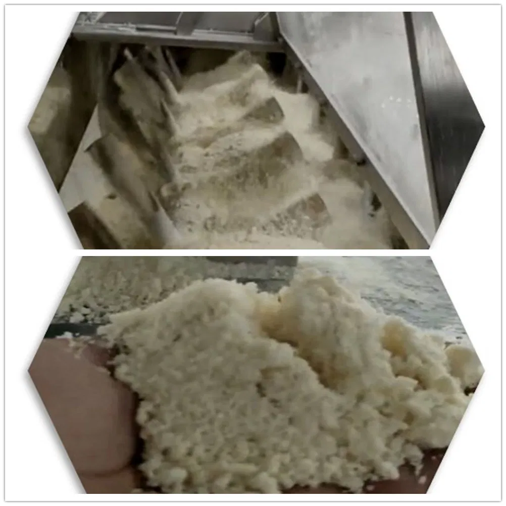 Linha de Produção de Macarrão Instantâneo Frito e Não Frito Inteligente