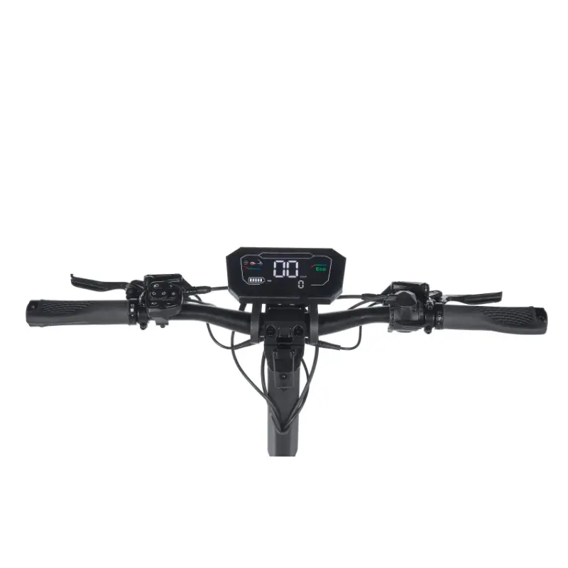 China 600W 48V Electric Scooter from China Suppliers - High-Performance Factory Model for Urban Commuting Suppliers, Factories