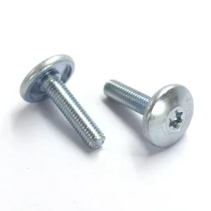 OEM Customized Special Head Stainless Steel Carbon Steel Machine Screw