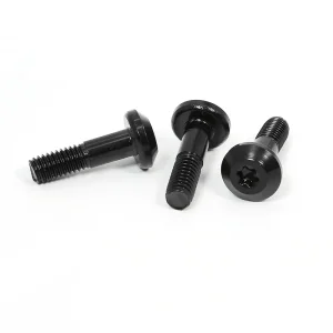 Wholesale Factory Direct High Quality Metric Custom Size System Black Carbon Steel Stainless Steel Flat Tail Torx Socket Head M2 M3 M4 M5 6 M8 M10 Half Thread Screw Factories, Factory