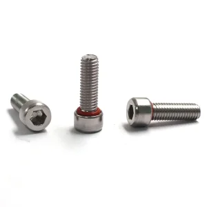 Custom Water-proof Screw O-ring Hex Socket Self-sealing Screw