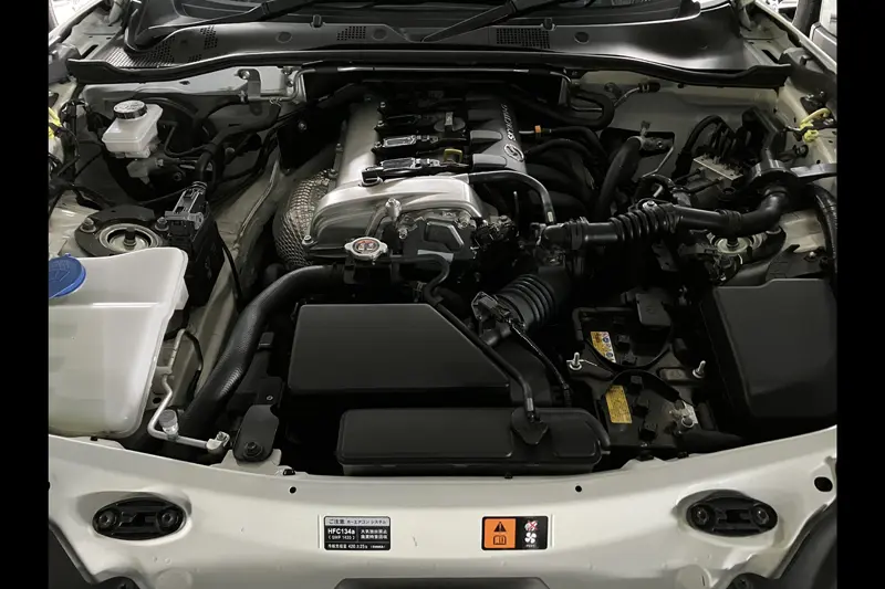 Automotive Engine Module Assembly