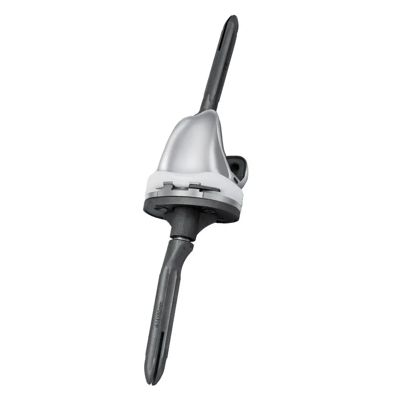 ACCK Revision Knee Joint