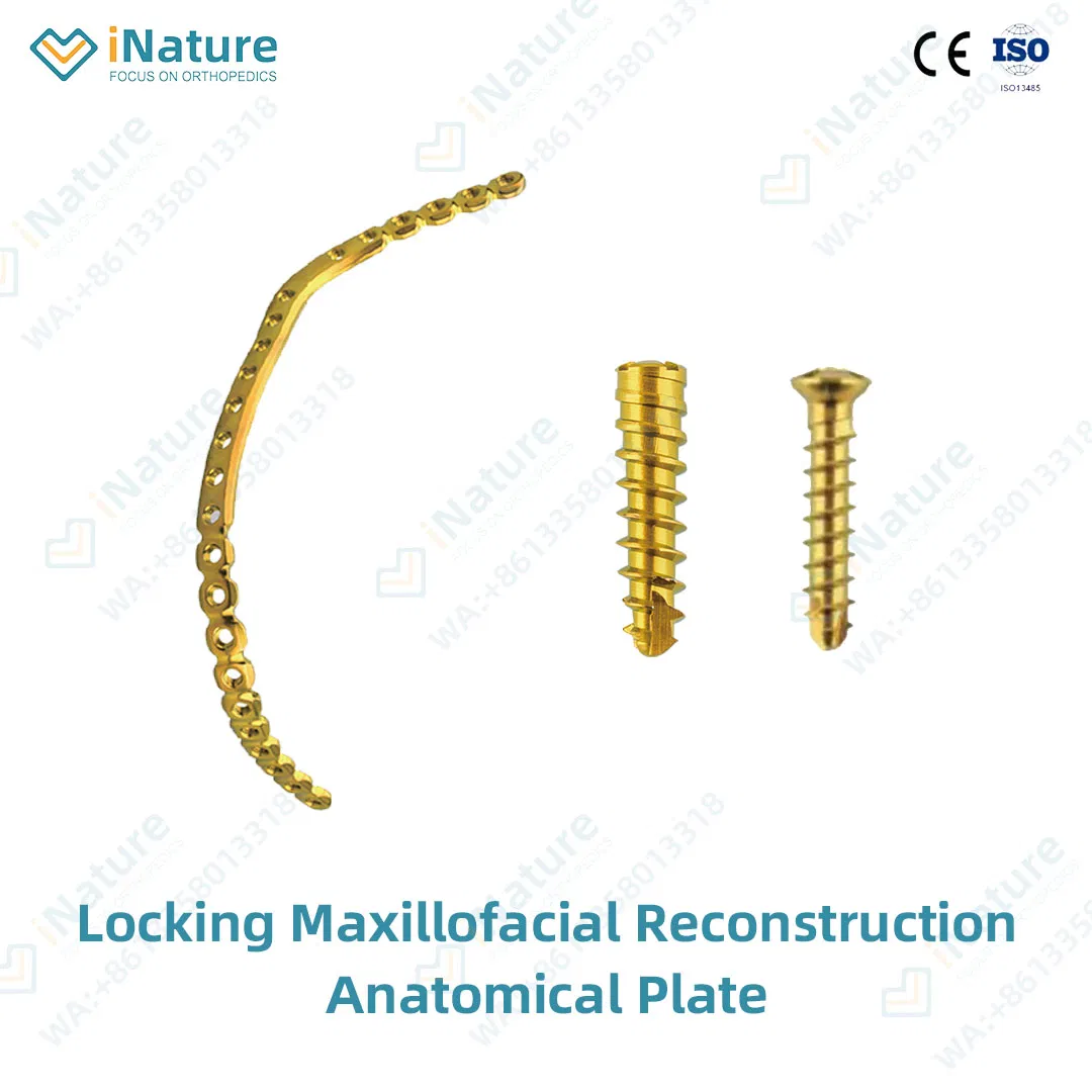 Titanium Alloy Maxillofacial Locking Plate for Jaw Fracture Fixation