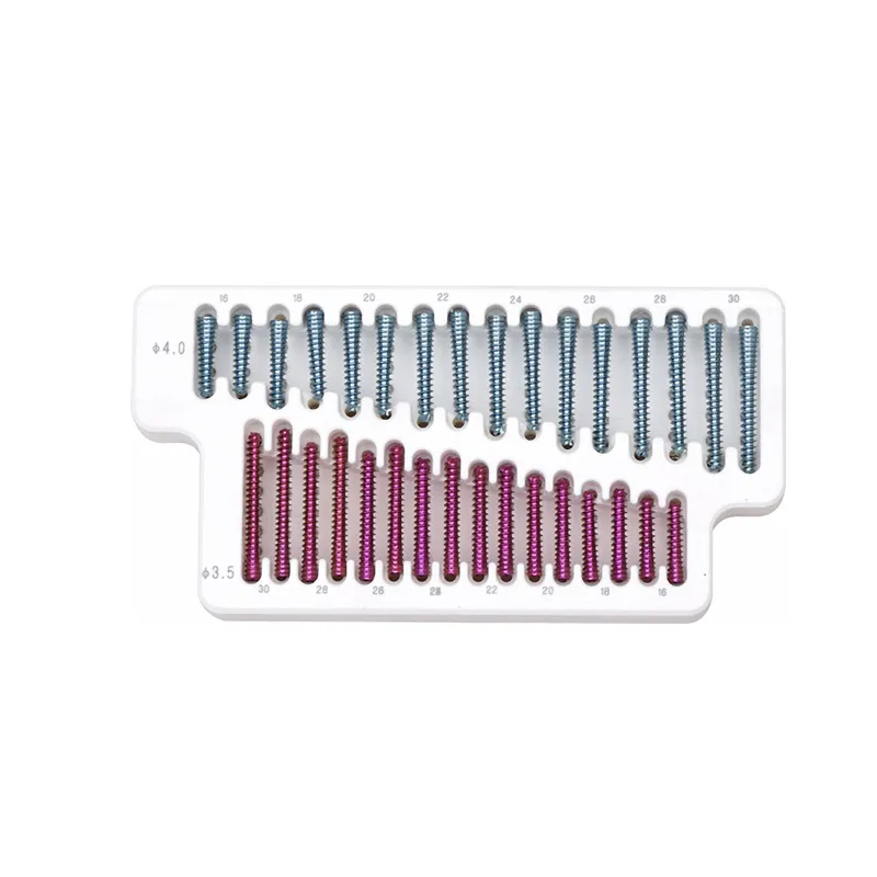 Related Screw Product 2