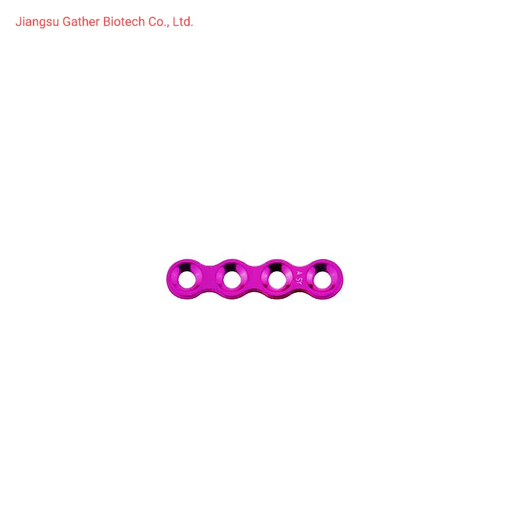 Orthopedic Maxillofacial Micro Straight Plate 0.6mm Thickness, Maxillofacial Trauma Orthopedic Implant Titanium Plate and Screw