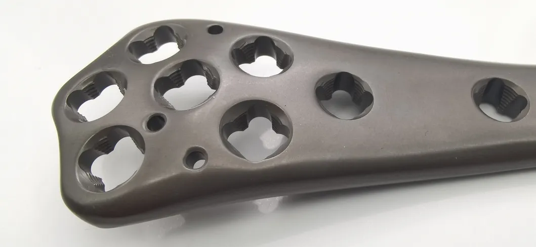 Multi-Axial Plate Detail 2