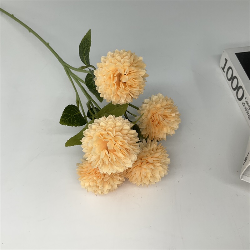 High Quality Product Display 3