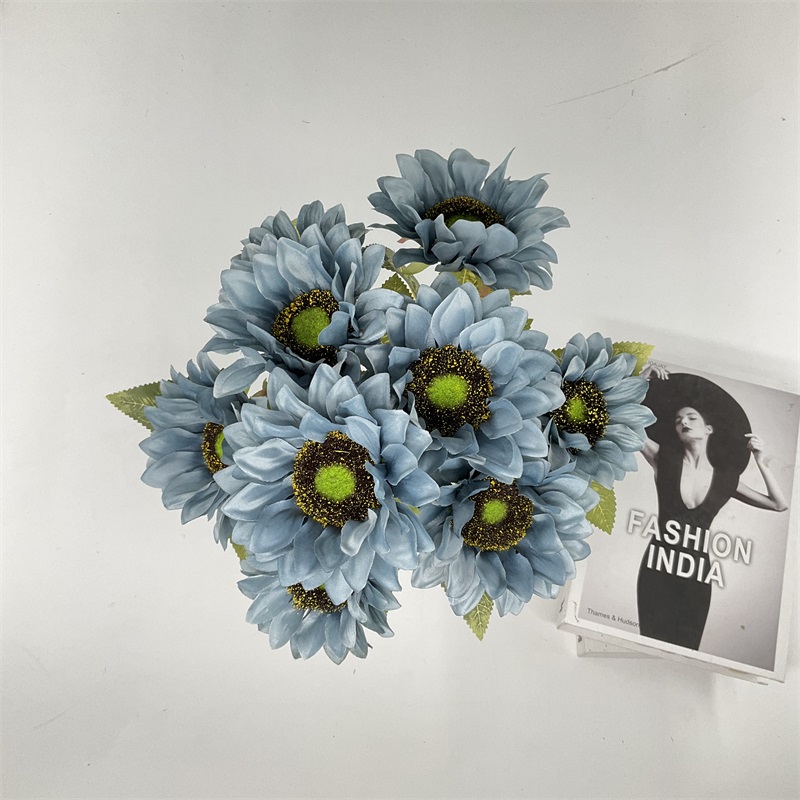 Product Display Image 3