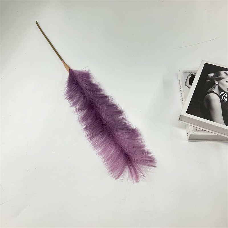 Product Showcase Image 2