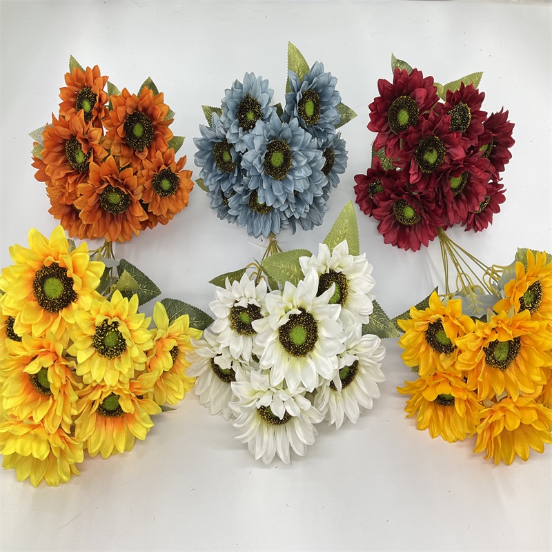 Product Display Image 4