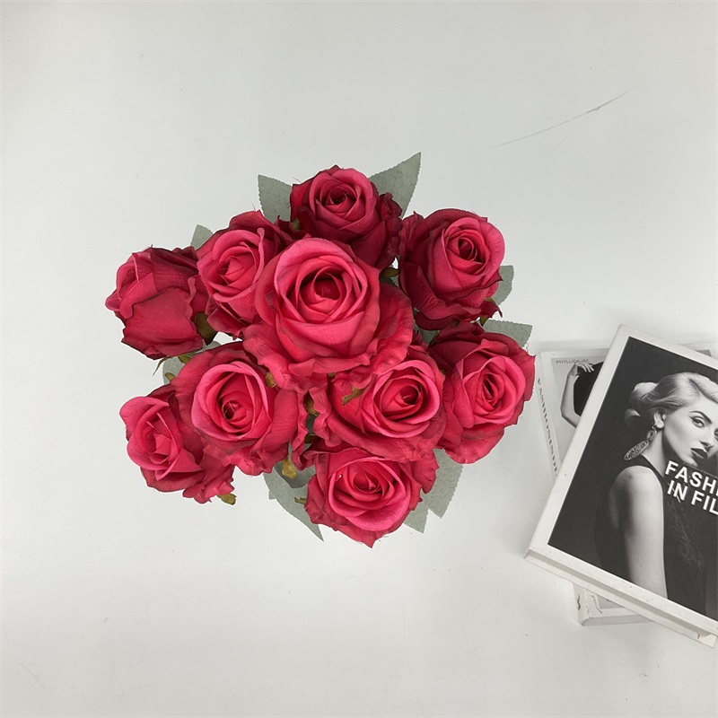 Product Showcase Image 3
