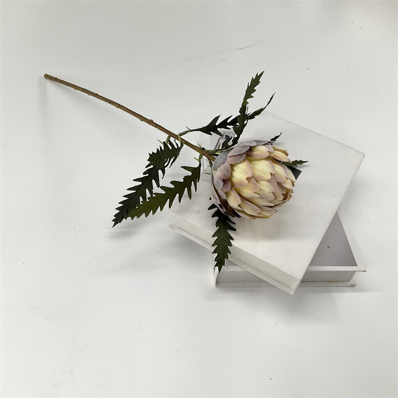 Product Showcase Image 1