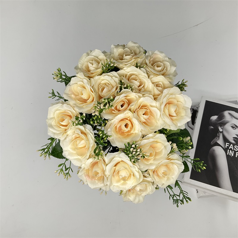 Product Display Image 1