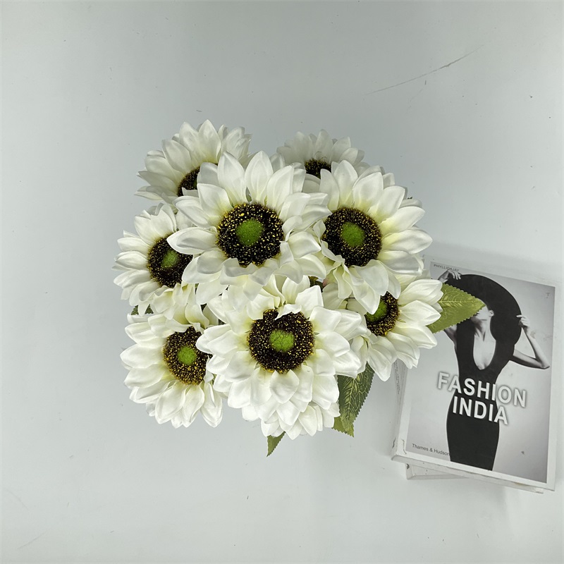 Product Display Image 1