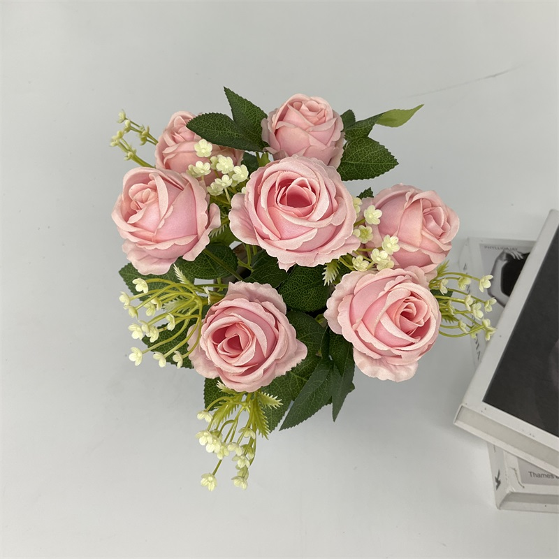 Product Display Image 1