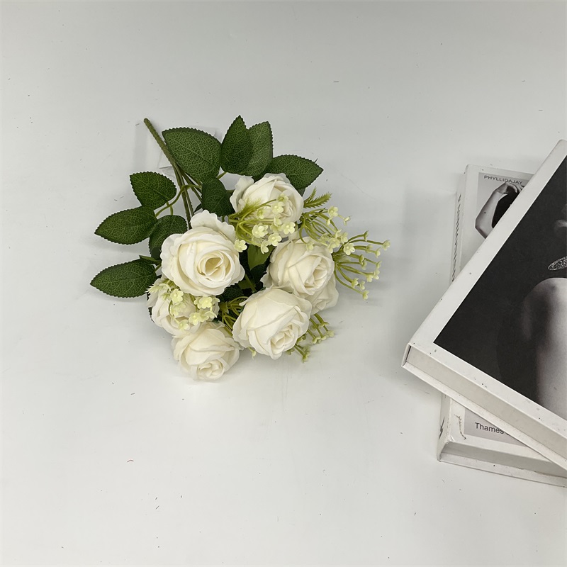Product Display Image 7