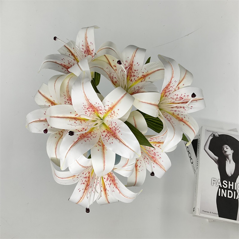 Product Showcase View 5