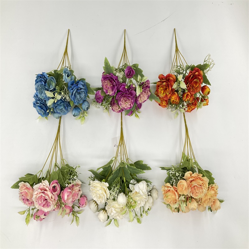 Product Display Image 3