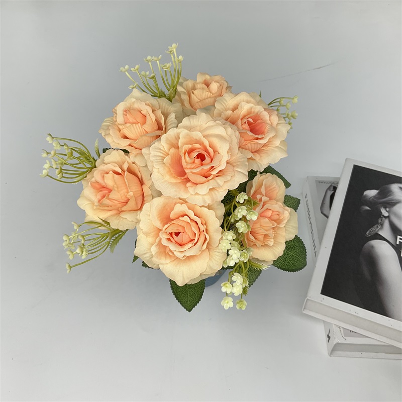 Product Showcase Image 1