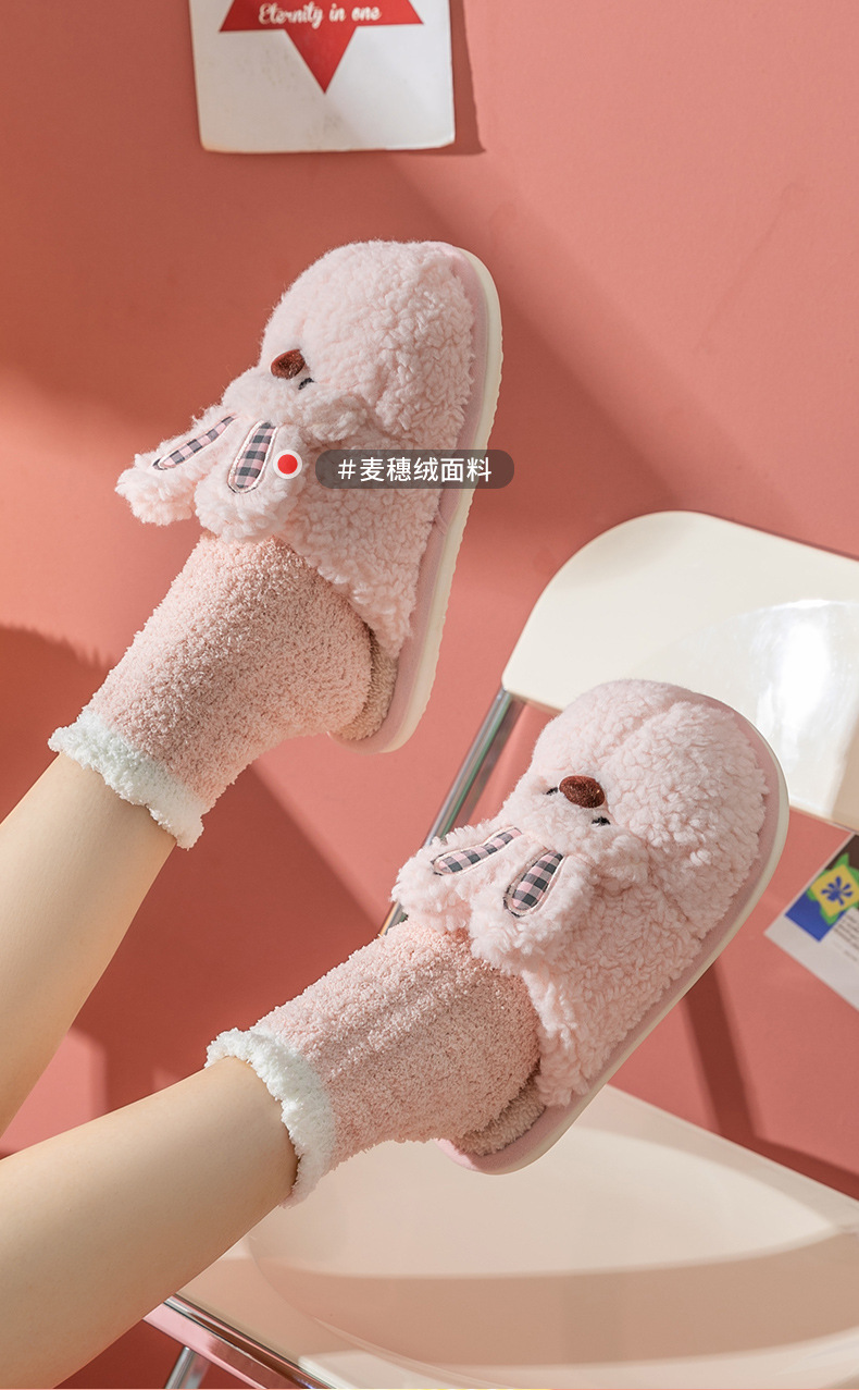 Product Details 10
