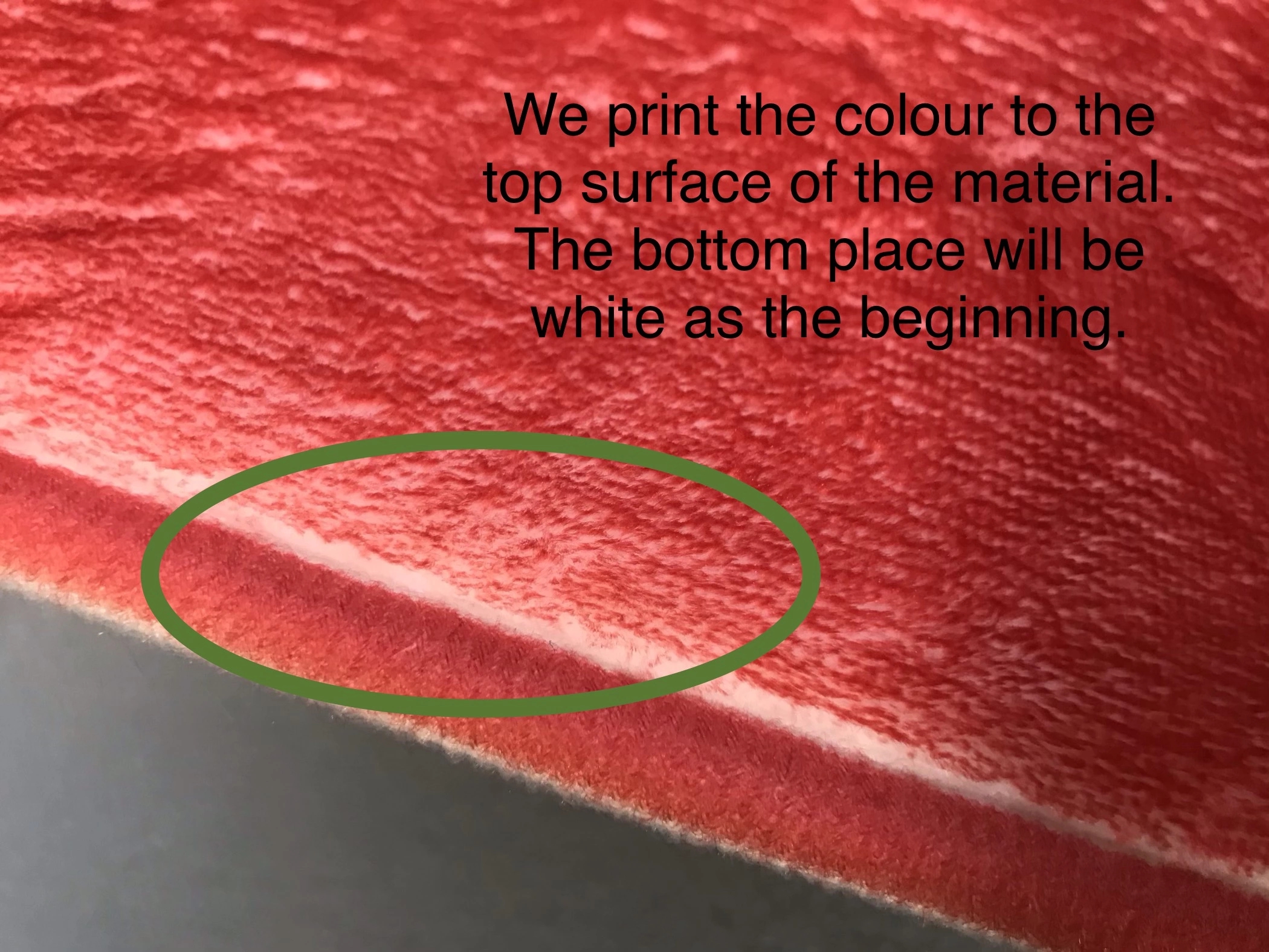 Coral Fleece Floor Mat Detail 4