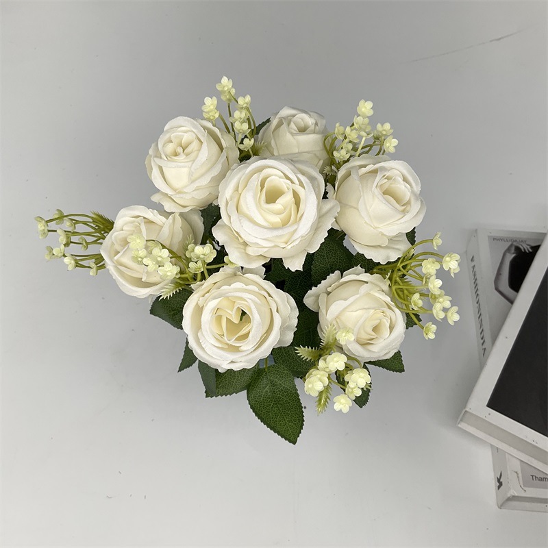 Product Display Image 6