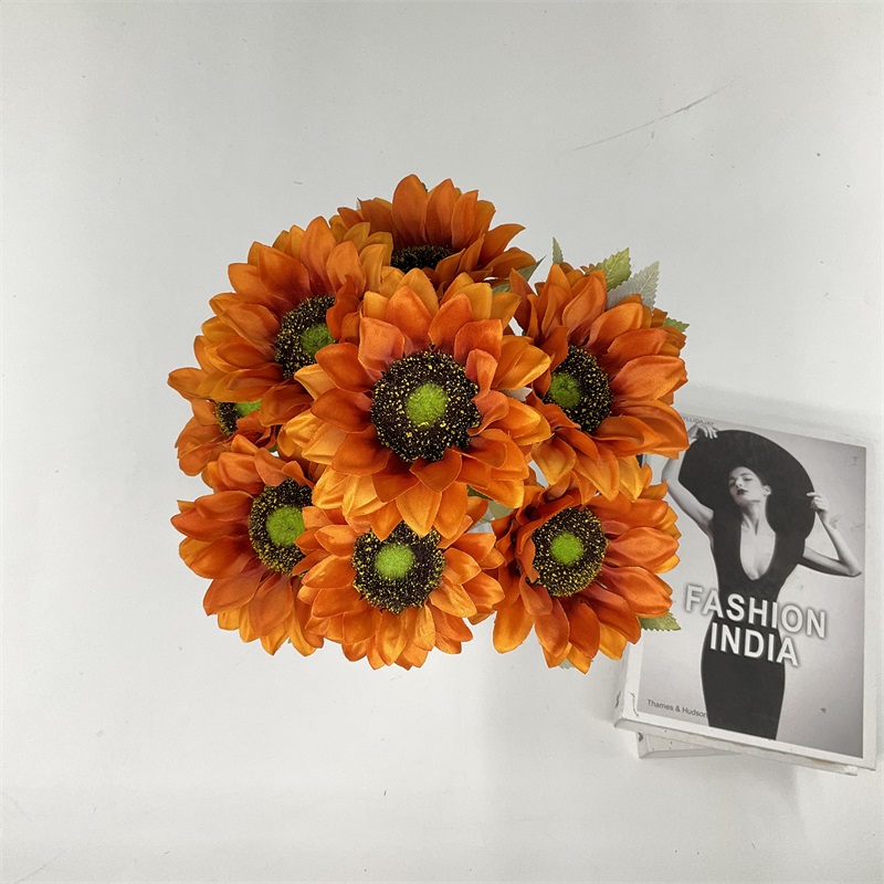 Product Display Image 2