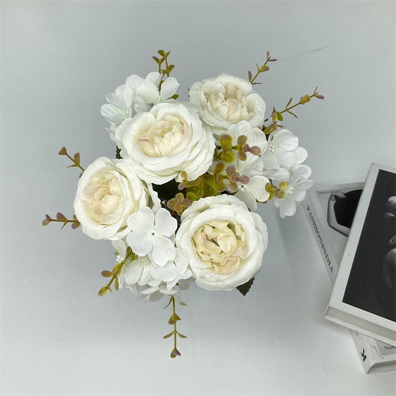 Product Showcase Image 1