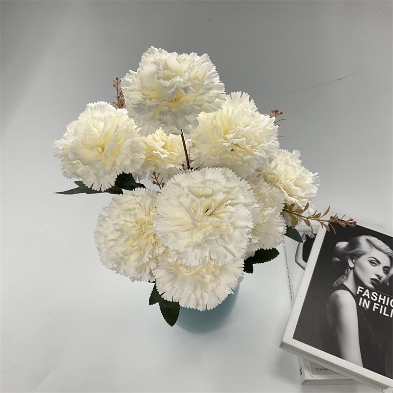 Product Showcase Image 1