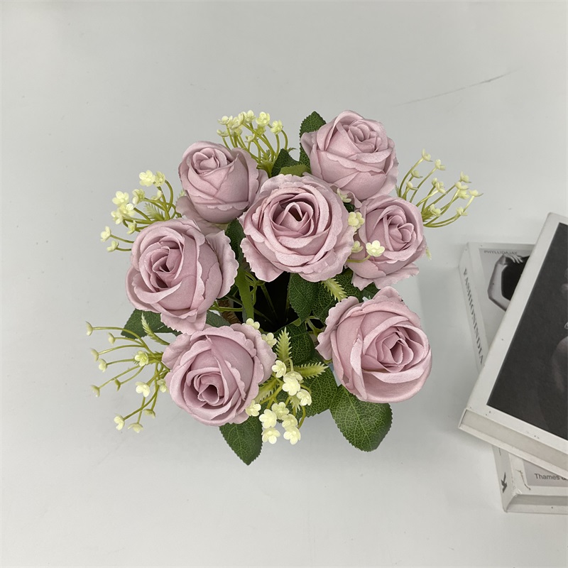 Product Display Image 2
